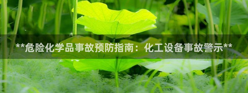 新宝gg创造奇迹会员注册登录