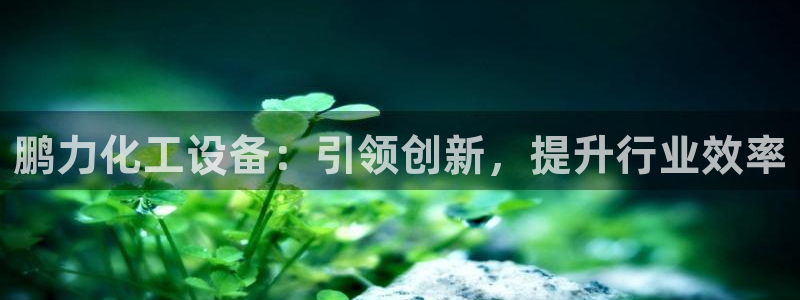 新宝gg创造奇迹官方登录