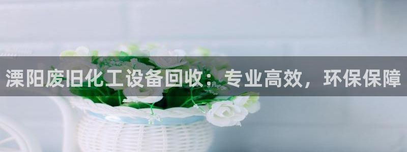 新宝gg一创造奇迹登陆