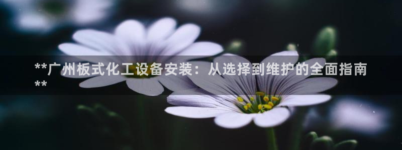 新宝gg官网最新版本更新内容介绍