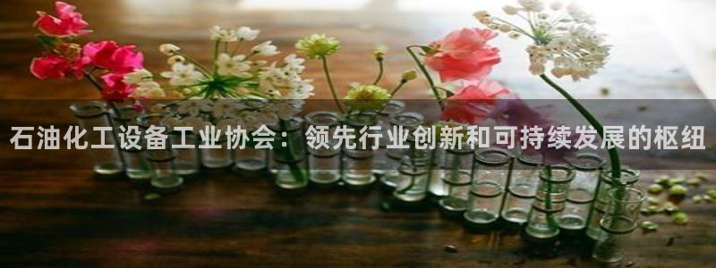 新宝gg登录不上去了了