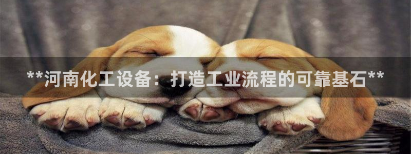 新宝gg登录不上去了