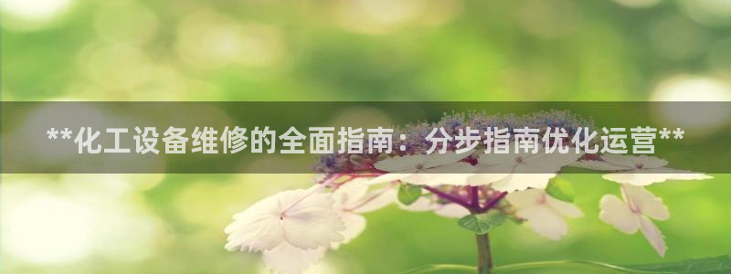 新宝gg平台注册登录指南