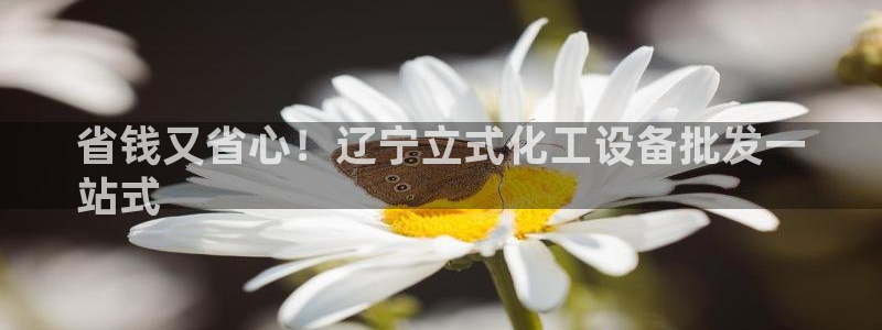新宝gg平台注册官网