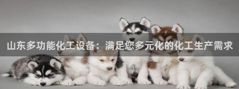 新宝gg官网登录地址：山东多功能化工设备：满足您多