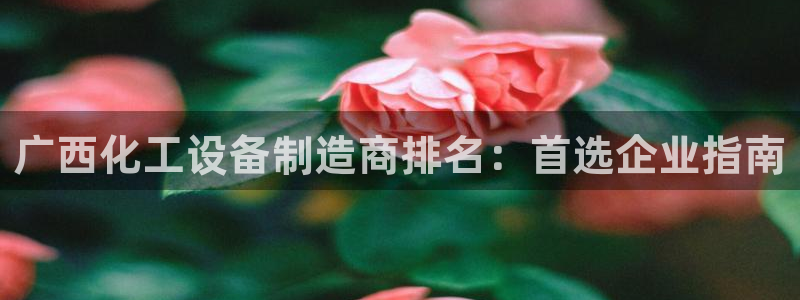 新宝gg–创造奇迹
