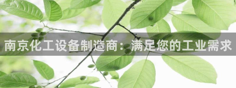 新宝gg怎么登录不上去了了