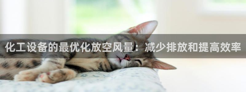 新宝gg—创造奇迹登录：化工设备的最优化放空风量：