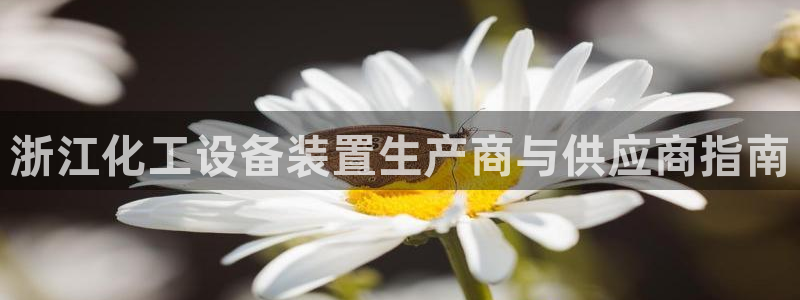 新宝GG创奇迹