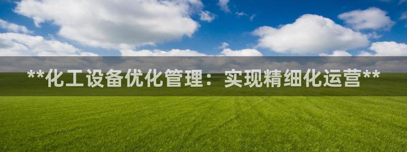 新宝GG平台负责人：**化工设备优化管理：实现精细