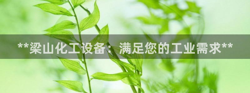 新宝gg登录测速中心