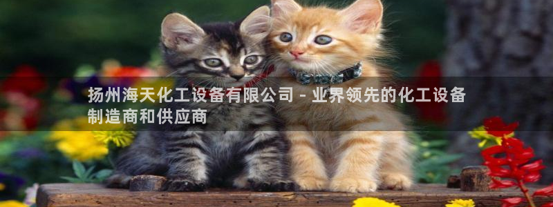 新宝gg一创造奇迹注册：扬州海天化工设备有限公司 - 业界领