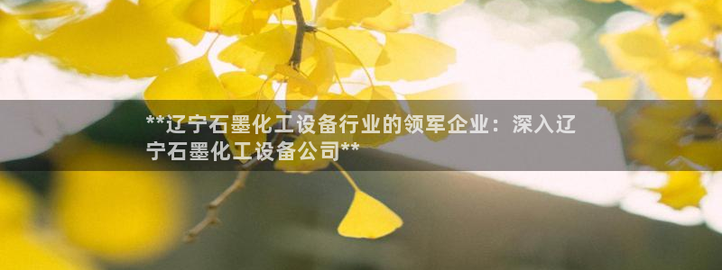 新宝gg官网客户端下载：**辽宁石墨化工设备行业的领军企业：