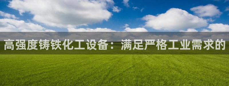 新宝gg注册网址：高强度铸铁化工设备：满足严格工业需求的