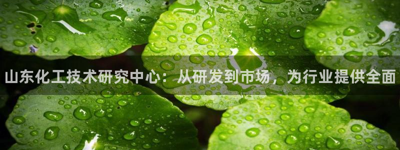 新宝gg平台注册登录指南：山东化工技术研究中心：从