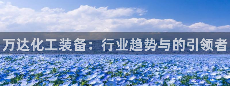 新宝gg娱乐创造奇迹登录官网：万达化工装备：行业趋