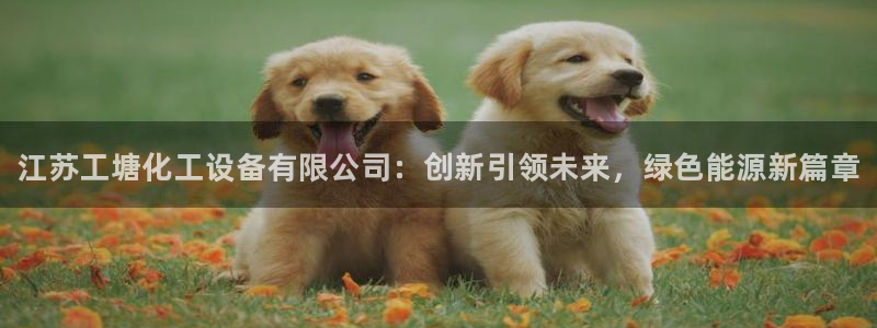 新宝gg创造奇迹官网地址：江苏工塘化工设备有限公司：创新引领