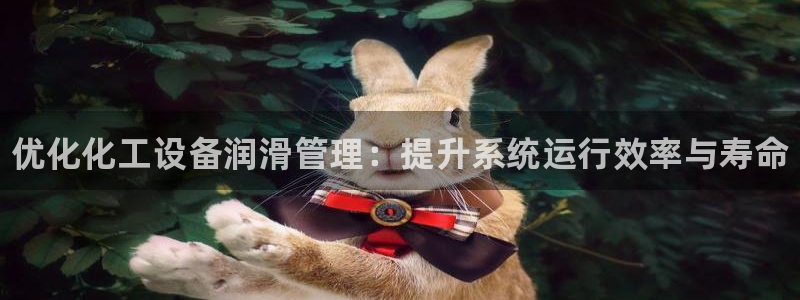 新宝gg创造奇迹登录注册玩法：优化化工设备润滑管理：提升系统