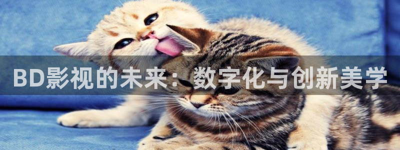 平民影院理论片：BD影视的未来：数字化与创新美学