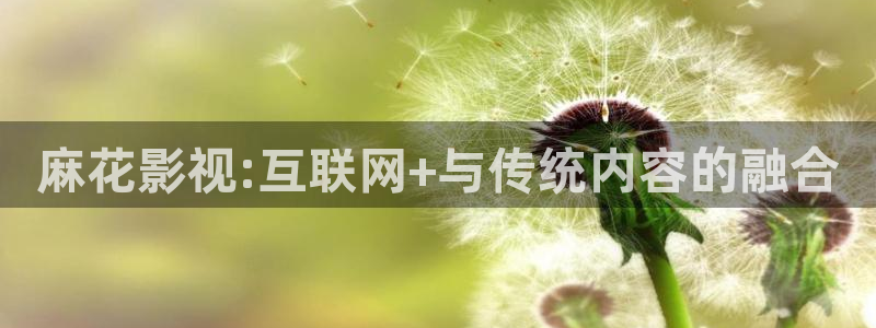 平民影院理论片：麻花影视:互联网+与传统内容的融合
