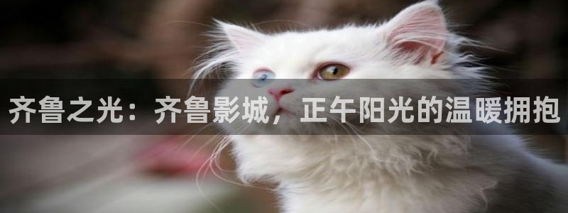 天天平民影院：齐鲁之光：齐鲁影城，正午阳光的温暖拥抱