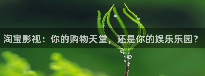 平民影院在线观看高清完整版免费 双面美人：淘宝影视：你的购物天堂，还是你的娱乐乐园？
